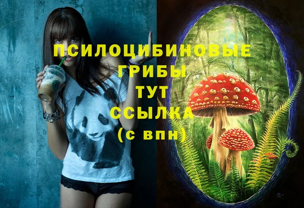 твердый Алзамай