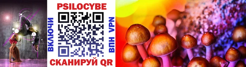 Галлюциногенные грибы Psilocybe  цены   ОМГ ОМГ онион  Малаховка 